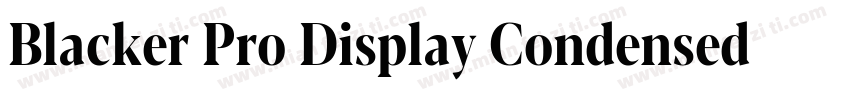 Blacker Pro Display Condensed Trial字体转换